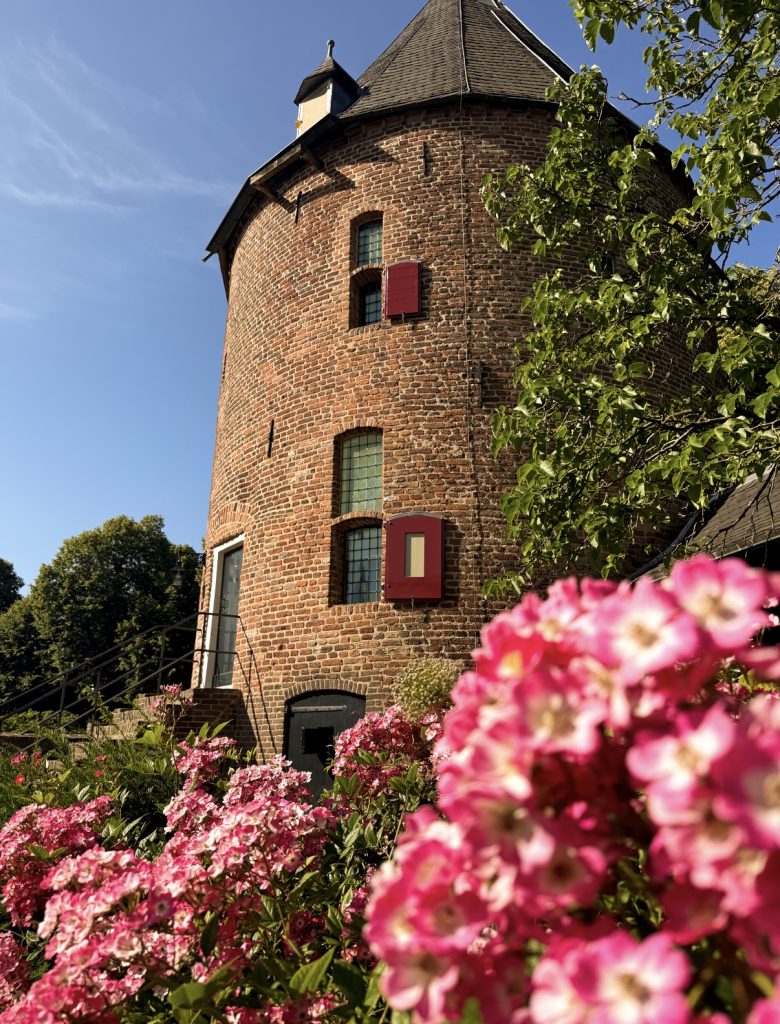 Ronde torensuite in volle bloei
